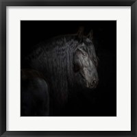 Equine Portrait X Fine Art Print