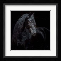 Equine Portrait XI Framed Print