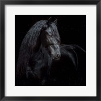 Equine Portrait XI Fine Art Print