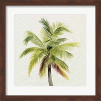 Coco Watercolor Palm I Fine Art Print