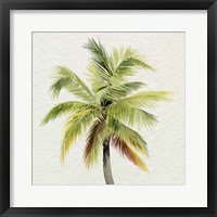 Coco Watercolor Palm I Fine Art Print