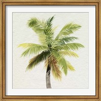 Coco Watercolor Palm II Fine Art Print