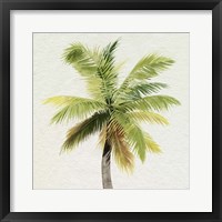 Coco Watercolor Palm II Fine Art Print