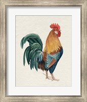 Watercolor Rooster I Fine Art Print