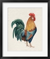 Watercolor Rooster I Framed Print