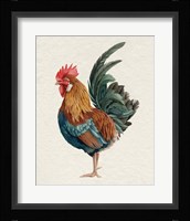 Watercolor Rooster II Framed Print