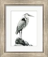 Shoreline Heron in B&W I Fine Art Print