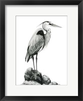 Shoreline Heron in B&W I Fine Art Print