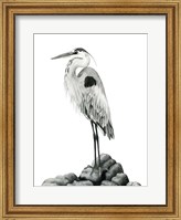 Shoreline Heron in B&W II Fine Art Print