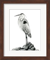 Shoreline Heron in B&W II Fine Art Print