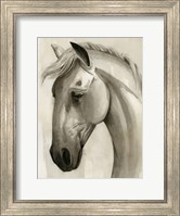 Freckled Pony I Fine Art Print