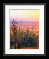 Light of Day II Framed Print