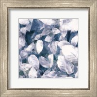 Blue Shaded Leaves III Fine Art Print