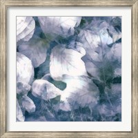 Blue Shaded Leaves IV Fine Art Print
