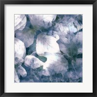 Blue Shaded Leaves IV Fine Art Print