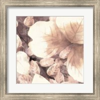 Blush Shaded Leaves I Fine Art Print