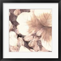 Blush Shaded Leaves I Framed Print