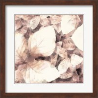 Blush Shaded Leaves II Fine Art Print