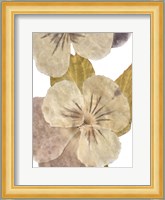 Neutral Pansy II Fine Art Print