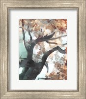 Fall Tree I Fine Art Print