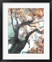 Fall Tree I Framed Print