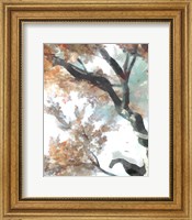 Fall Tree II Fine Art Print