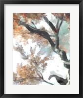 Fall Tree II Framed Print