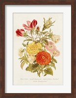 Antique Floral Bouquet I Fine Art Print
