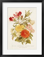 Antique Floral Bouquet I Fine Art Print