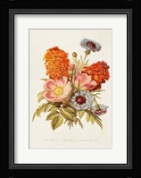 Antique Floral Bouquet II Framed Print
