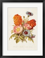Antique Floral Bouquet II Framed Print