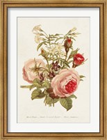 Antique Floral Bouquet III Fine Art Print