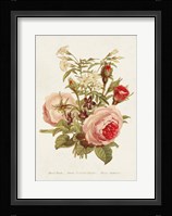 Antique Floral Bouquet III Framed Print