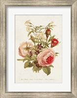 Antique Floral Bouquet III Fine Art Print