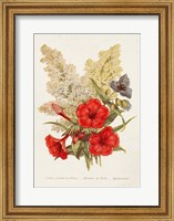 Antique Floral Bouquet V Fine Art Print