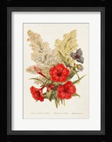 Antique Floral Bouquet V Framed Print