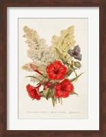 Antique Floral Bouquet V Fine Art Print