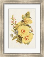 Antique Floral Bouquet VI Fine Art Print