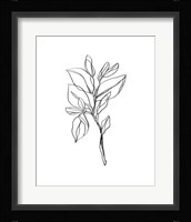 Leaf Sprig I Framed Print