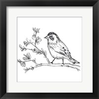Simple Songbird Sketches II Fine Art Print