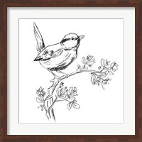Simple Songbird Sketches IV Fine Art Print