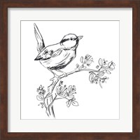 Simple Songbird Sketches IV Fine Art Print