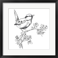 Simple Songbird Sketches IV Framed Print