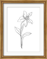 Simple Daffodil I Fine Art Print
