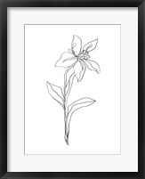 Simple Daffodil I Framed Print