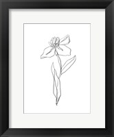 Simple Daffodil II Fine Art Print