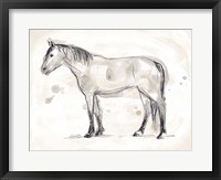 Vintage Equine Sketch I Framed Print