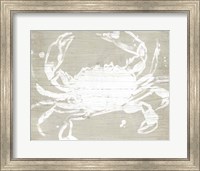 Weathered Crab I Fine Art Print