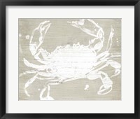Weathered Crab I Framed Print