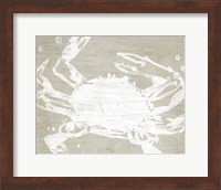 Weathered Crab II Fine Art Print